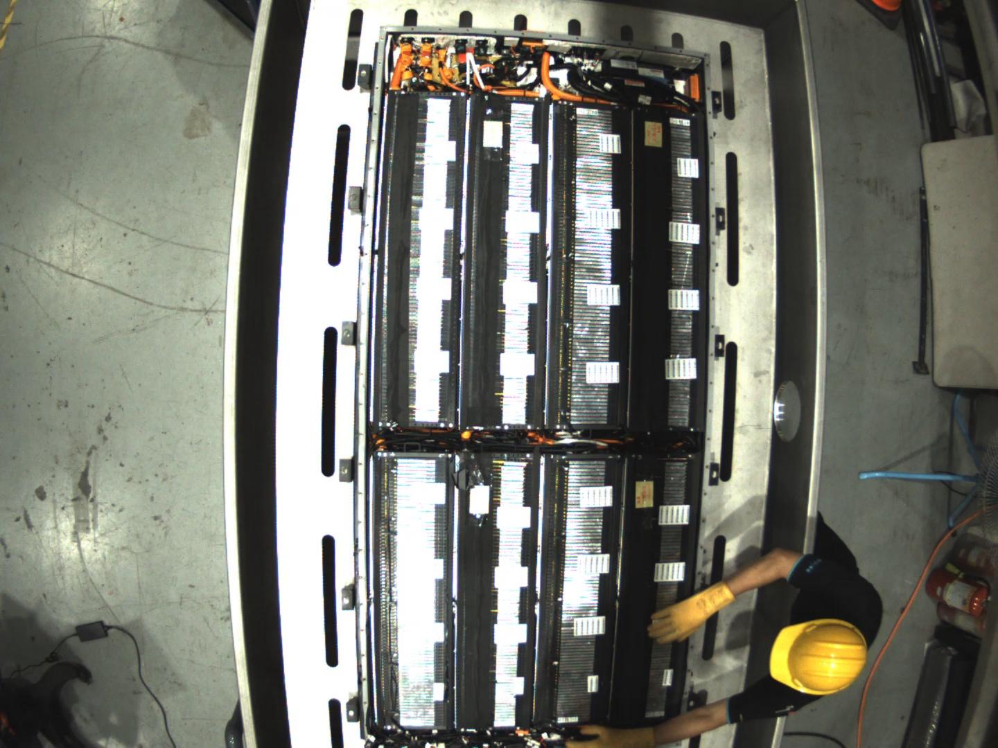 Dataset Image