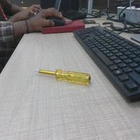 Dataset Image
