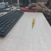 Dataset Image