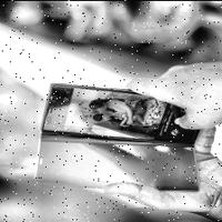 Dataset Image