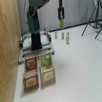 Dataset Image