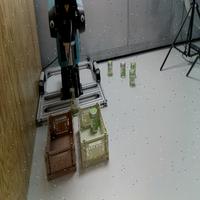 Dataset Image