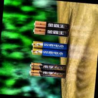 Dataset Image