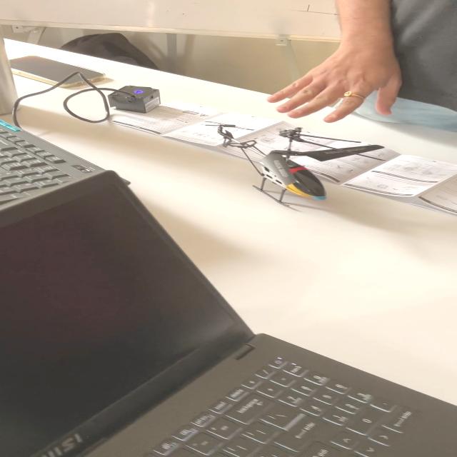 Dataset Image