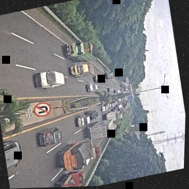 Dataset Image