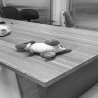 Dataset Image