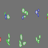 Annotation Visualization