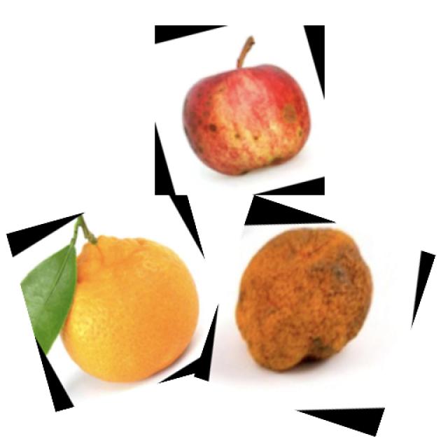 Dataset Image
