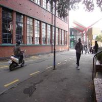 Dataset Image
