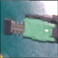 Dataset Image