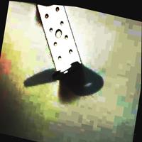 Dataset Image
