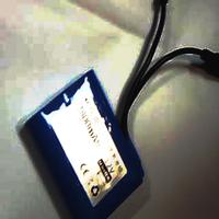 Dataset Image