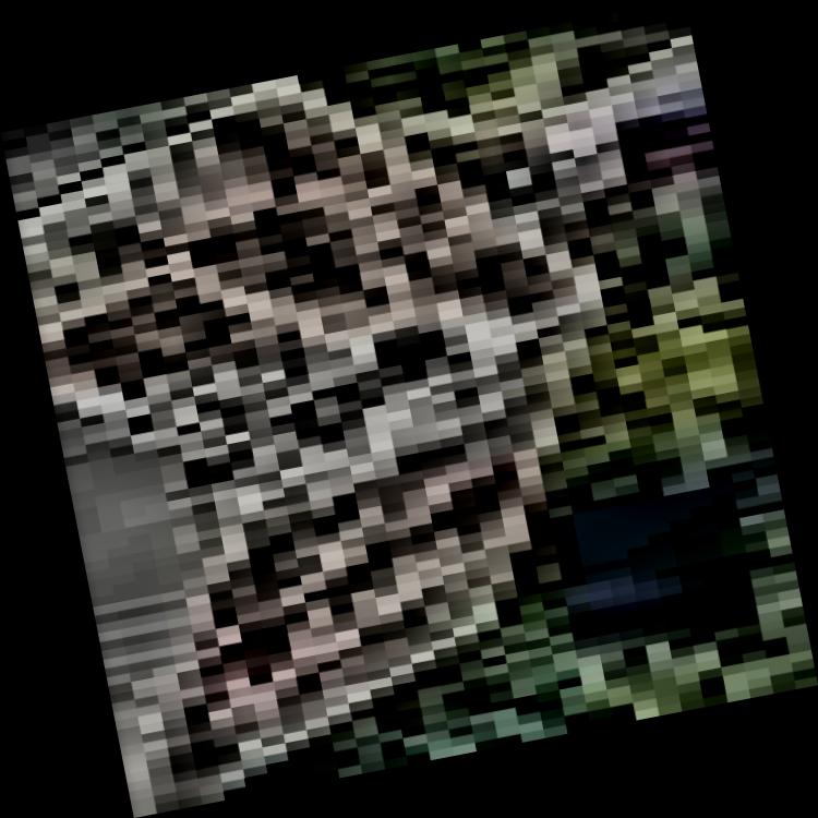 Dataset Image