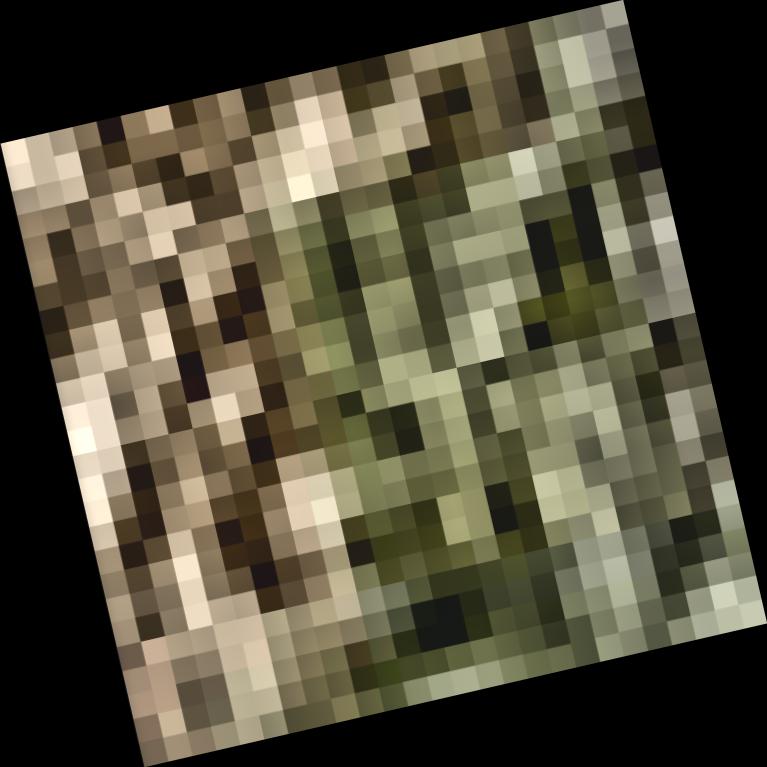 Dataset Image