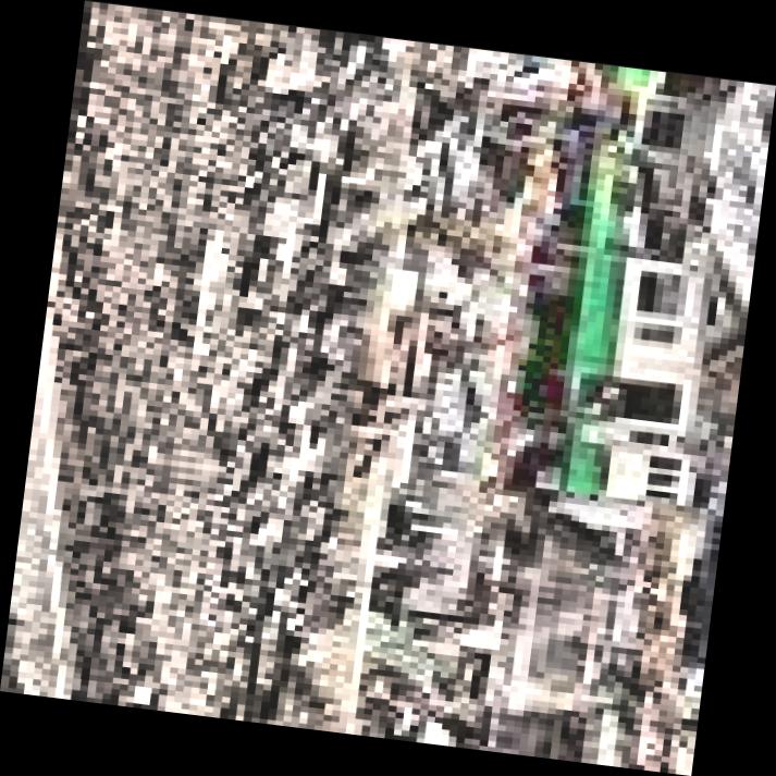 Dataset Image