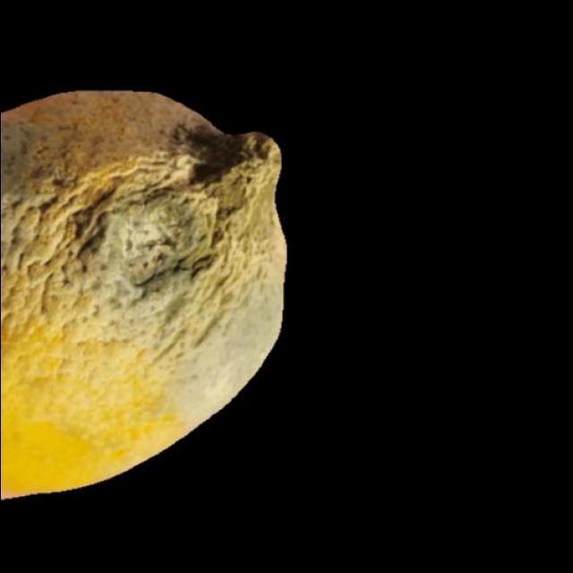 Dataset Image