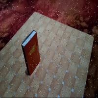 Dataset Image