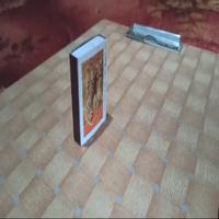 Dataset Image
