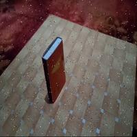 Dataset Image
