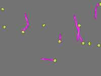 Annotation Visualization