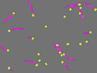 Annotation Visualization