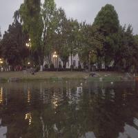 Dataset Image