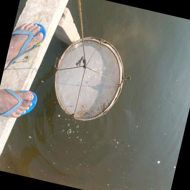 Dataset Image