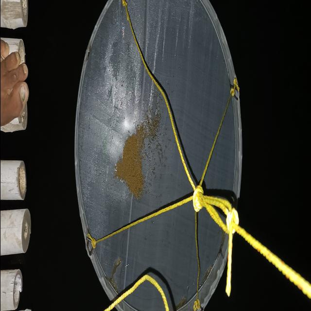 Dataset Image