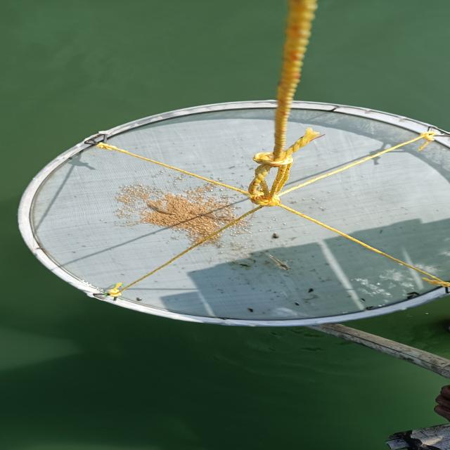 Dataset Image