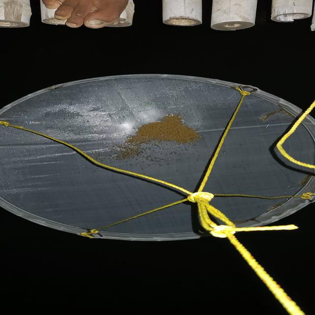 Dataset Image
