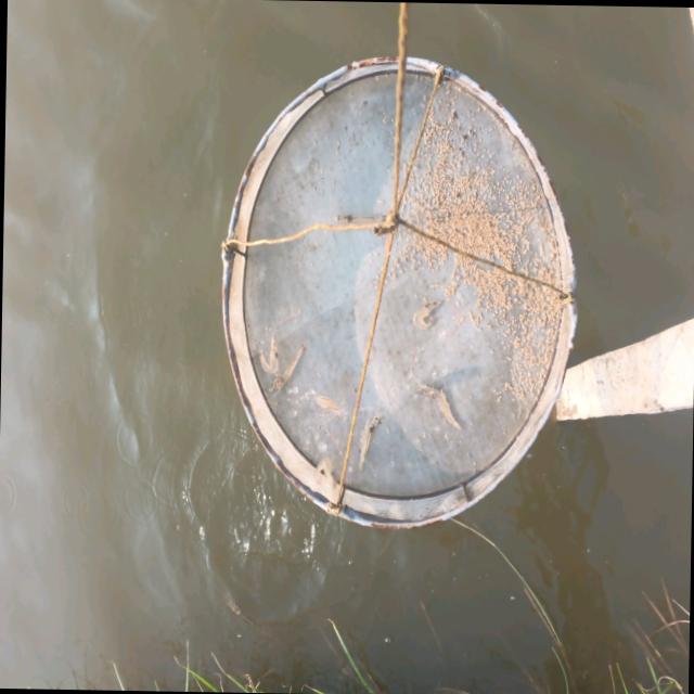 Dataset Image