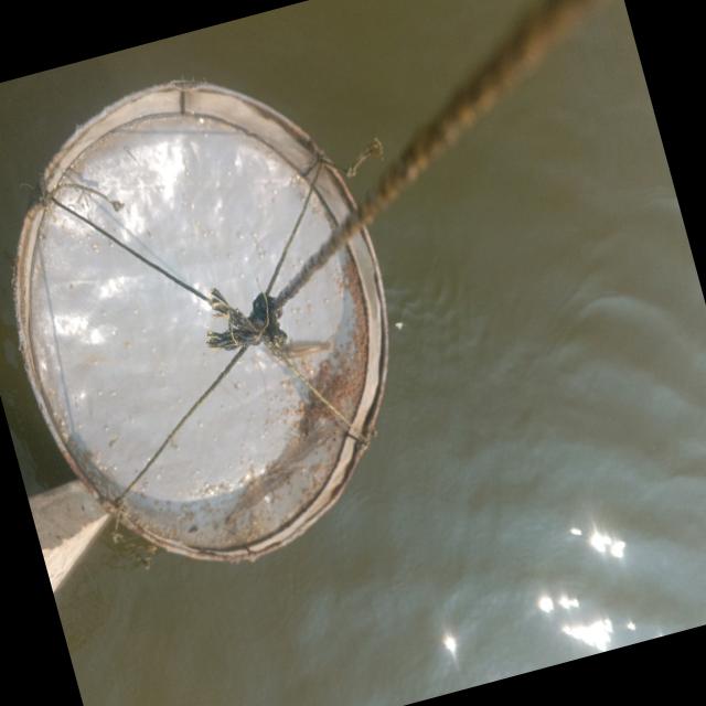 Dataset Image