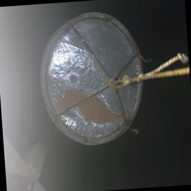 Dataset Image