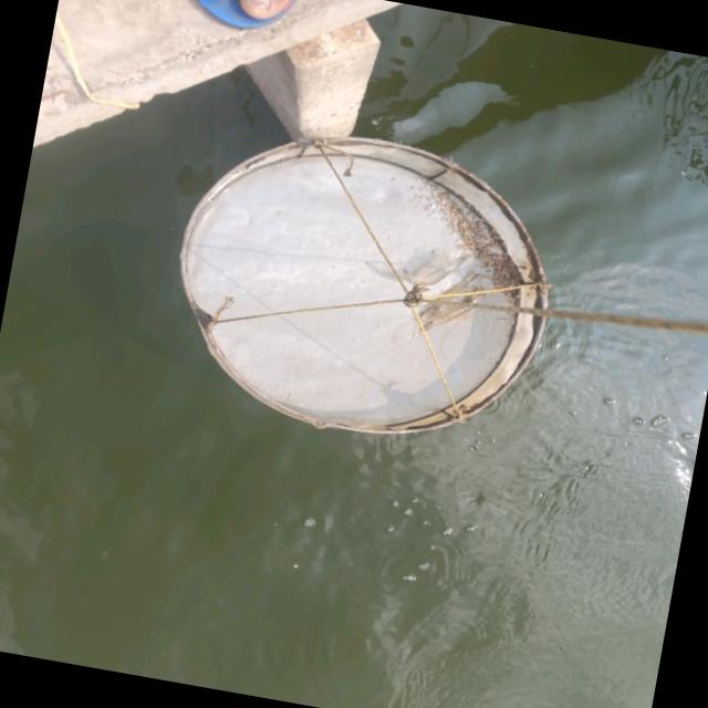 Dataset Image