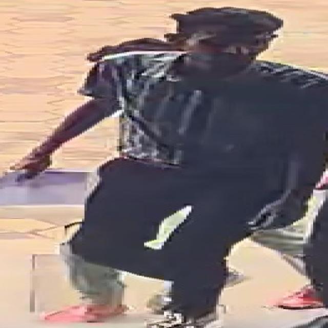 Dataset Image