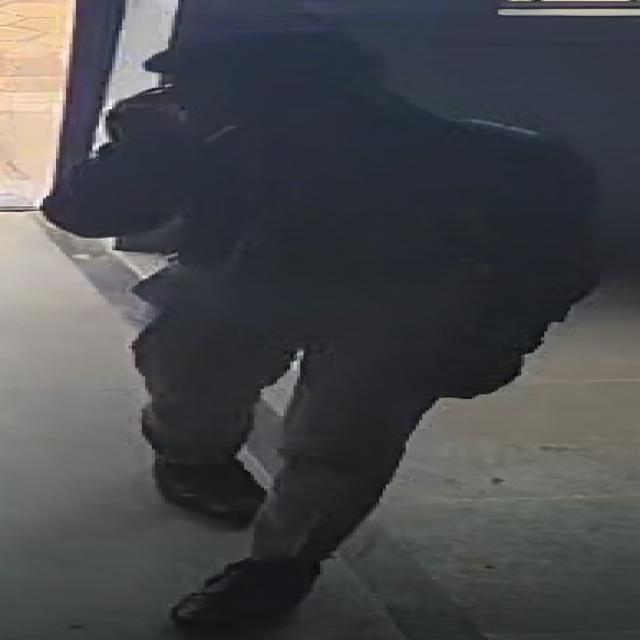 Dataset Image