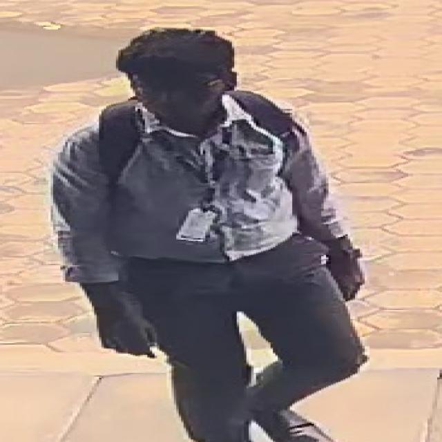 Dataset Image