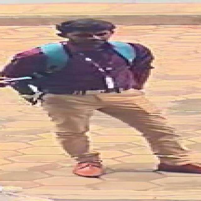 Dataset Image