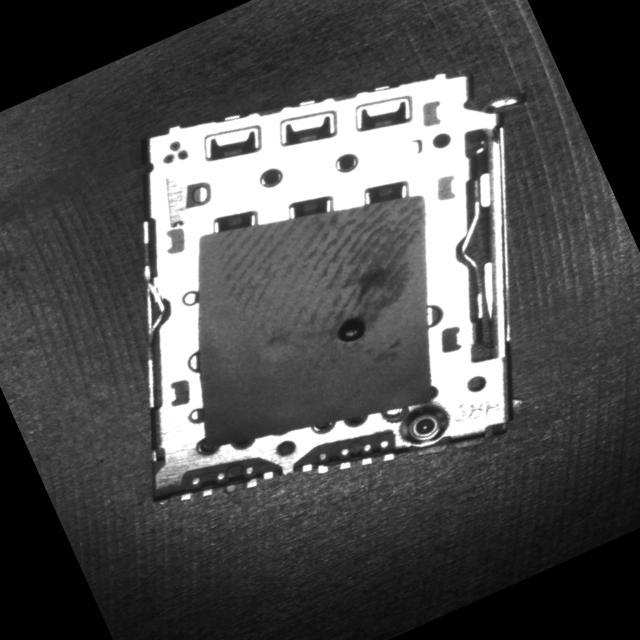 Dataset Image
