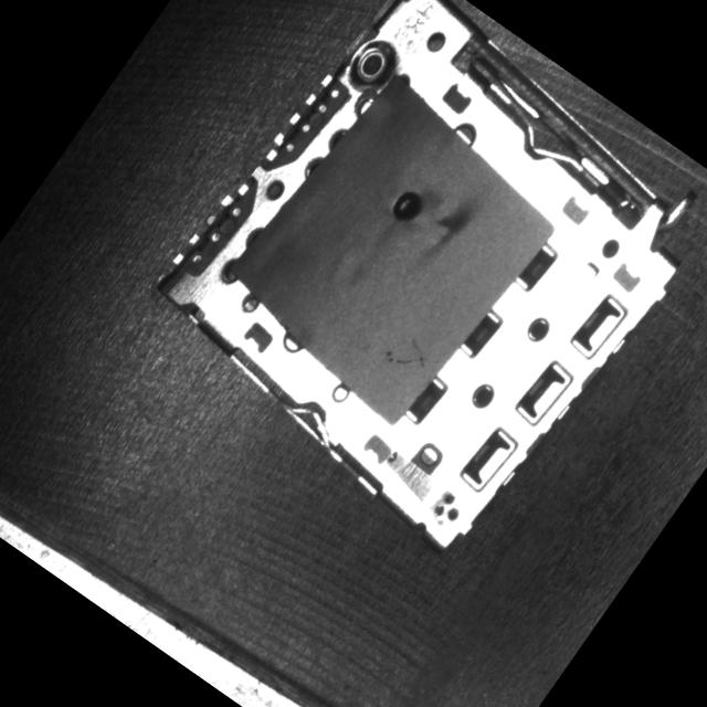 Dataset Image