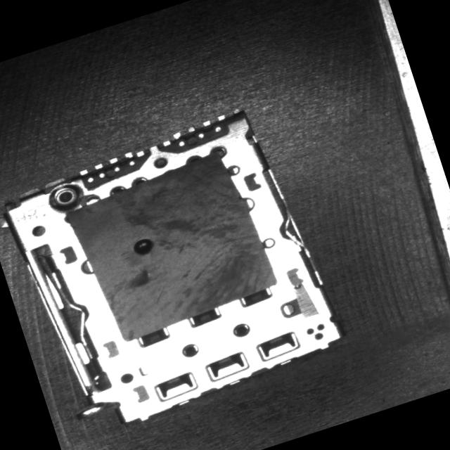 Dataset Image