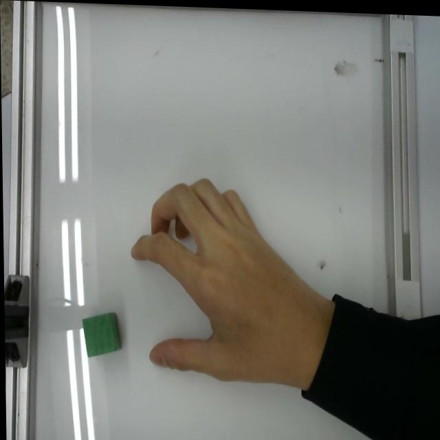Dataset Image