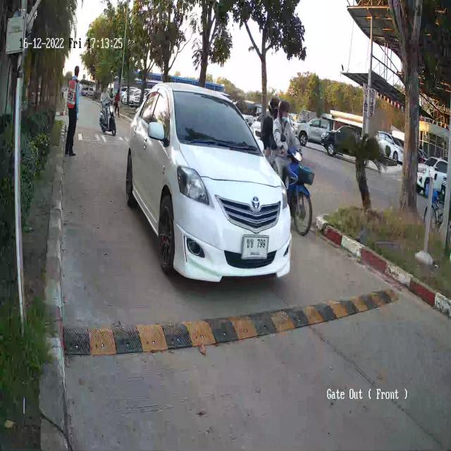 Dataset Image