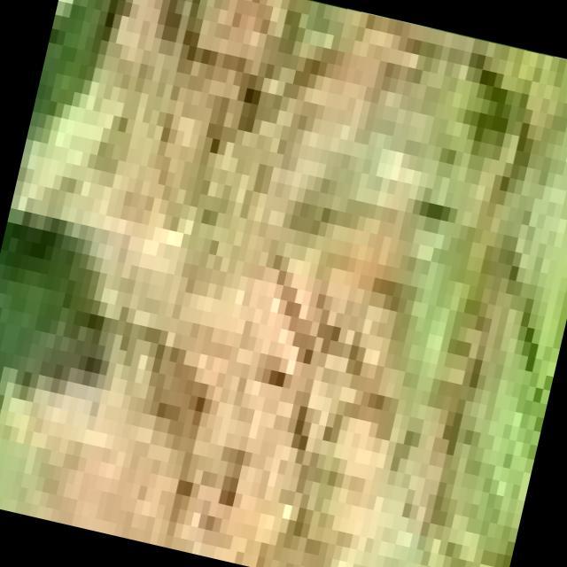 Dataset Image