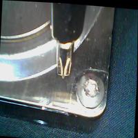 Dataset Image