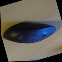 Dataset Image