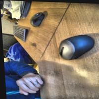Dataset Image
