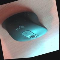 Dataset Image