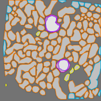 Annotation Visualization