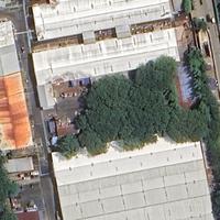 Dataset Image